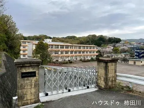 Slide 15