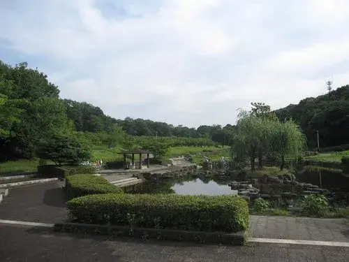 Slide 10