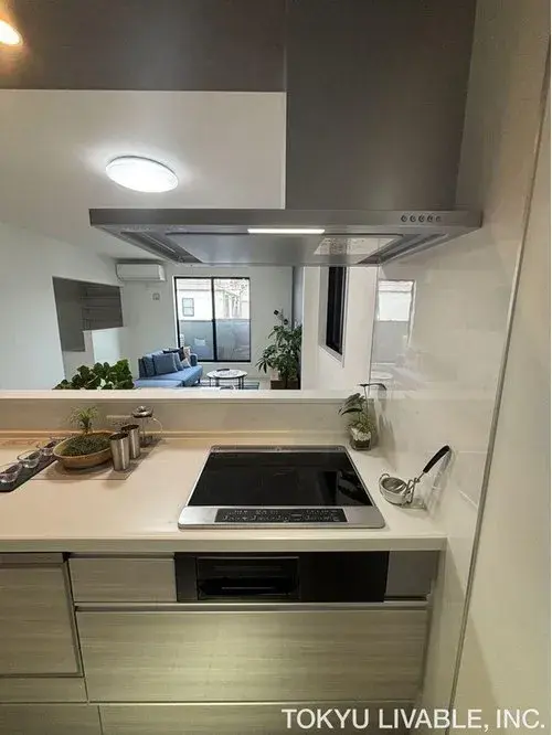 2LDK+S property Nagoya City Aichi Prefecture (11)