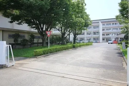 Slide 17