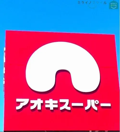 5LDK+S Property Nisshin City Aichi Prefecture (9)