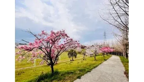 4LDK Property Nagoya City Aichi Prefecture (20)