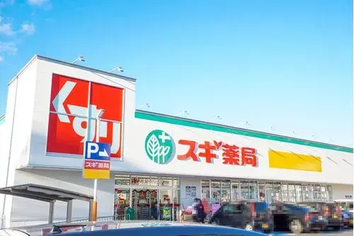 3LDK+S Nisshin City Aichi Prefecture (18)