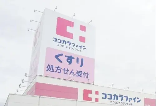 Aichi Owariasahi City 4LDK House (4)
