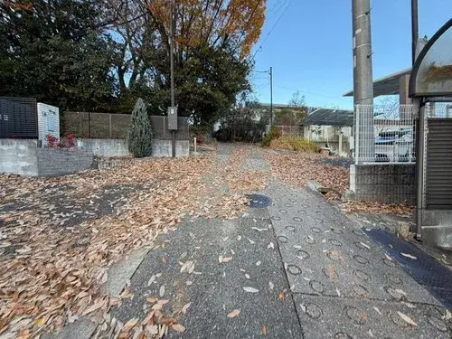 Slide 3