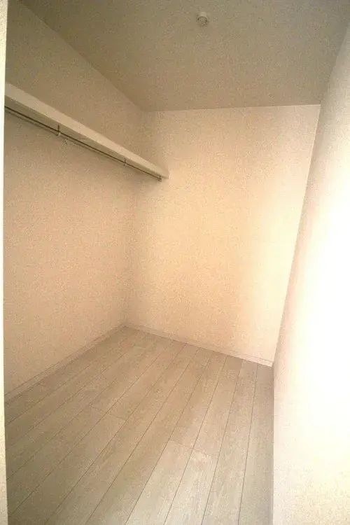 Slide 5