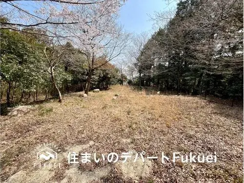 Slide 0