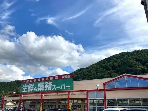 7DK Property Fukuchiyama City Kyoto Prefecture (22)