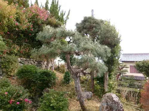 7DK Property Ukyo Ward, Kyoto City, Kyoto Prefecture (24)