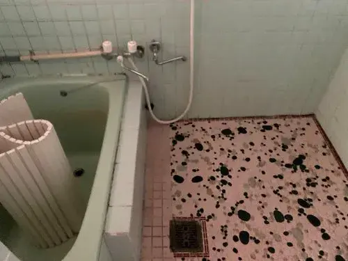 Kyoto Prefecture Kyoto City Apartment Property (5)
