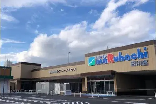 4LDK Property Osaka City Osaka Prefecture (19)