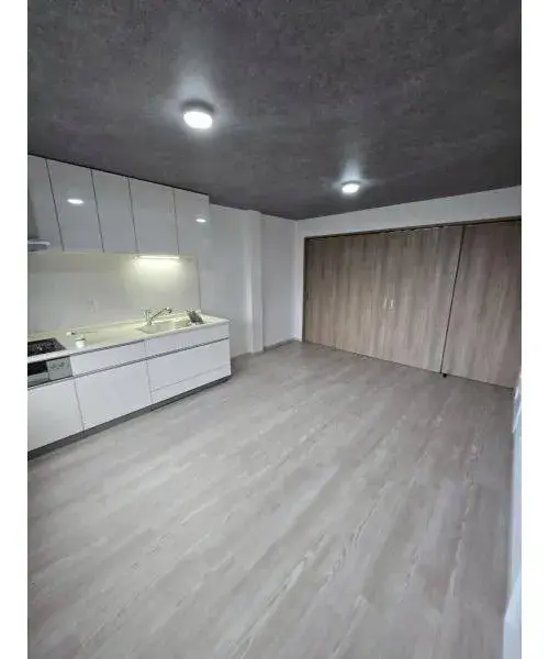 4LDK Property Osaka City Osaka Prefecture (6)