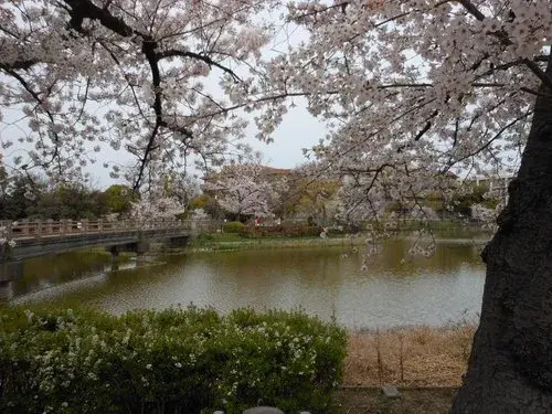 Osaka Prefecture Osaka City 4LDK+S Property (9)