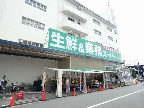 3K+S Property Osaka City Osaka Prefecture (11)