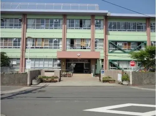 Slide 8