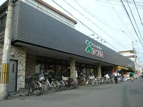 3K Osaka City Osaka Prefecture Property (3)