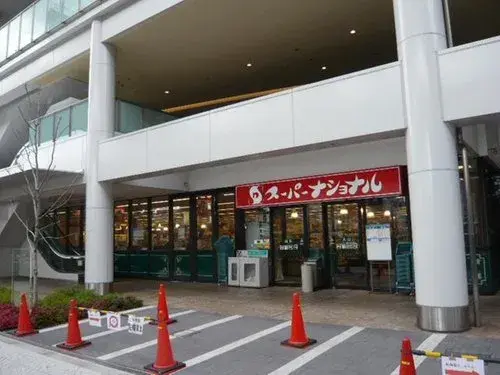 3K Osaka City Osaka Prefecture Property (6)