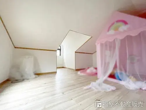 4LDK Property Osaka City Osaka Prefecture (13)