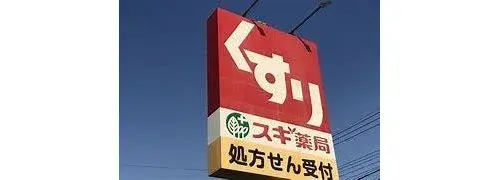 Slide 11
