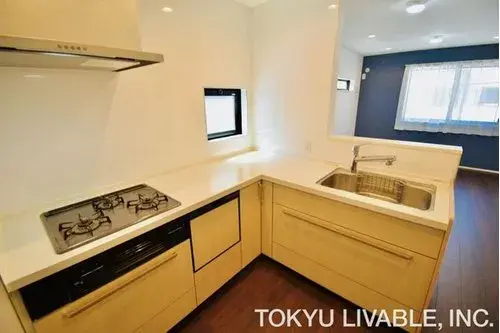 3LDK Property Osaka City Osaka Prefecture (13)