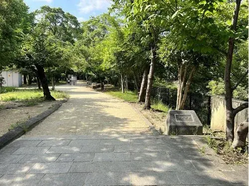 Slide 5
