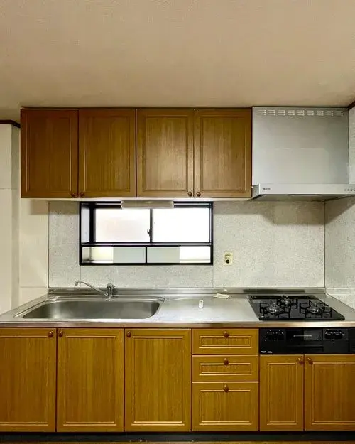 5LDK Property Osaka City Osaka Prefecture (15)