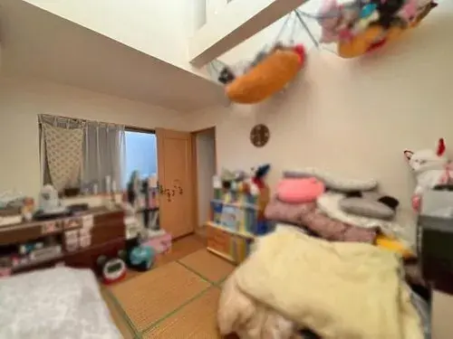 3LDK Property Yao City Osaka Prefecture (12)