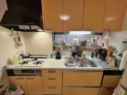 3LDK Property Yao City Osaka Prefecture (14)