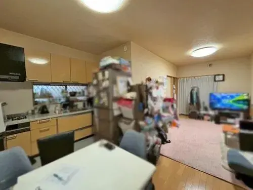 3LDK Property Yao City Osaka Prefecture (8)