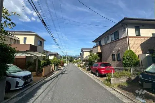 Slide 7