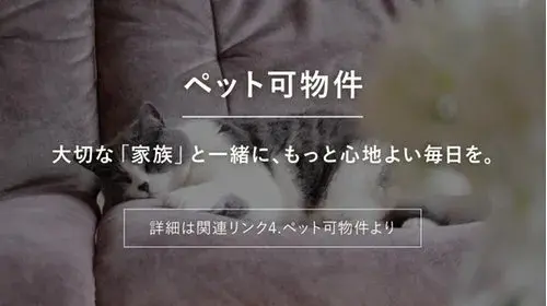 Slide 24