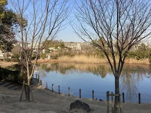 3LDK+S Property Nishinomiya City Hyogo Prefecture (11)