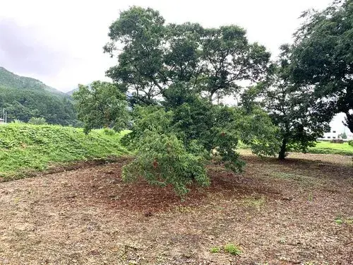 Hyogo Prefecture Tamba City 13DK Property (19)