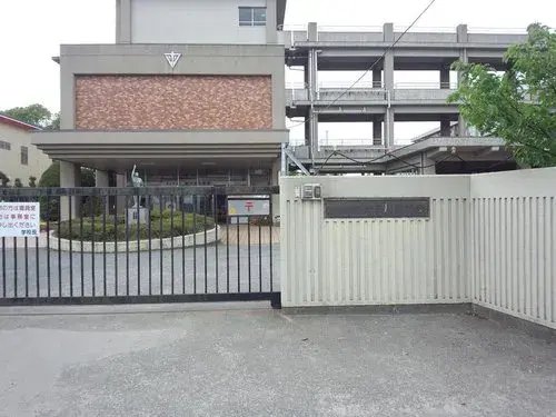 Slide 6