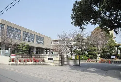 Slide 7