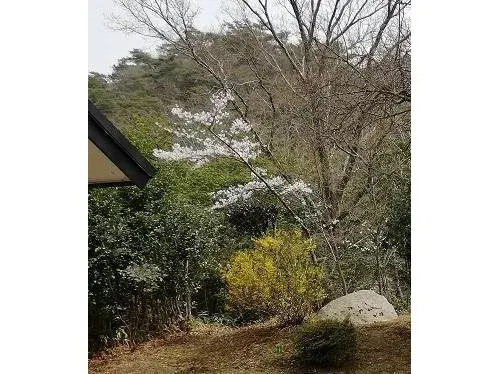 5LDK+S Property Ashiya City Hyogo Prefecture (12)