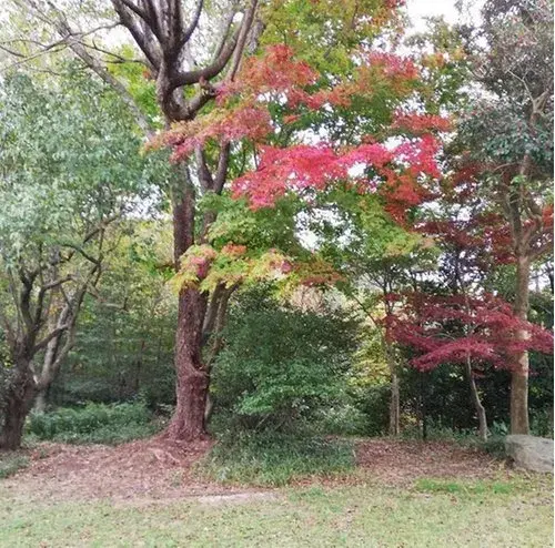 5LDK+S Property Ashiya City Hyogo Prefecture (13)
