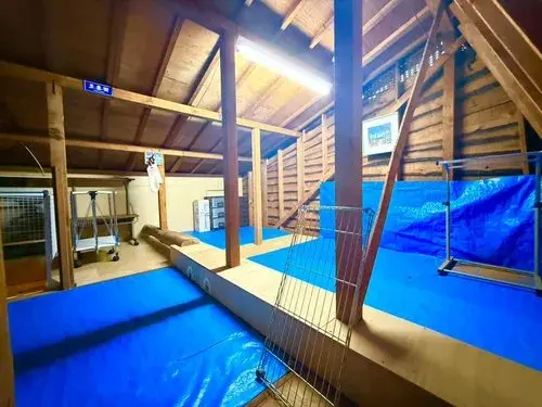 3LDK+S Property Nishinomiya City Hyogo Prefecture (14)