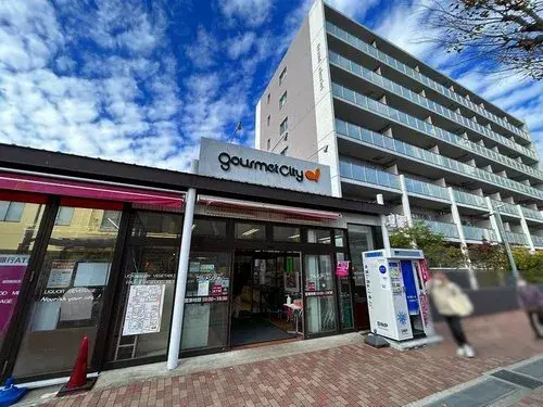 4LDK Property Kobe City Hyogo Prefecture (20)