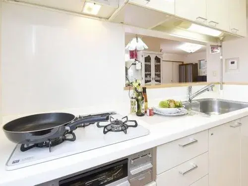 4LDK Property Nara City Nara Prefecture (16)