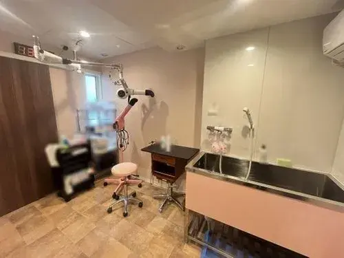 2LDK Property Nara City Nara Prefecture (13)