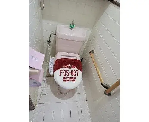 6LDK Property Wakayama City Wakayama Prefecture (8)