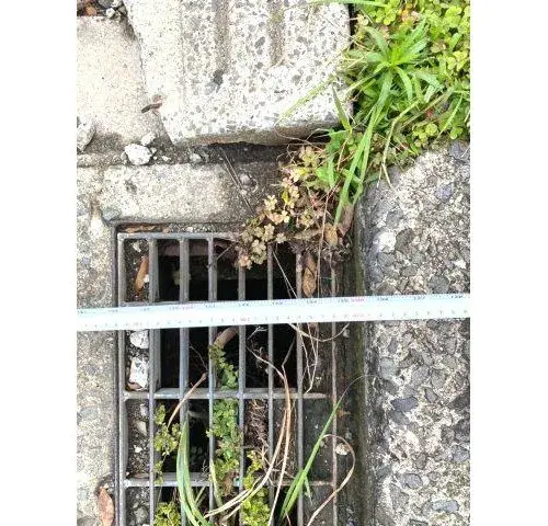 Slide 11