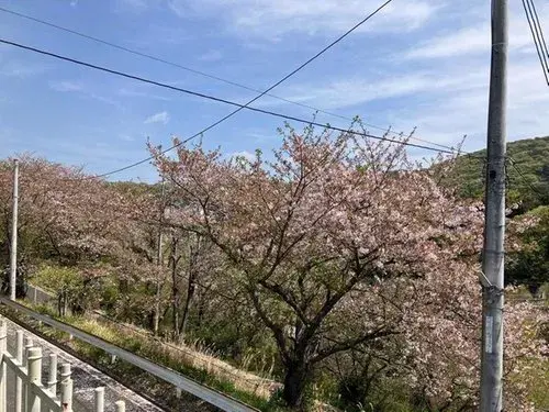 6DK Property Okayama City Okayama Prefecture (10)