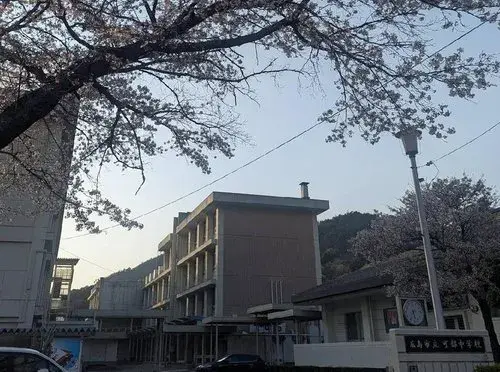 4LDK Property Hiroshima City Hiroshima Prefecture (11)