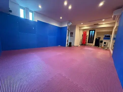 2LDK Property Fukuyama City Hiroshima Prefecture (10)