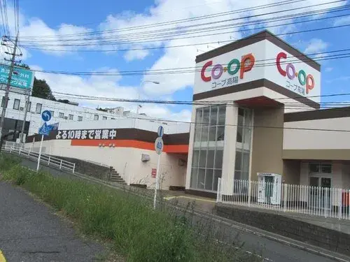 4LDK Property Hiroshima City Hiroshima Prefecture (19)