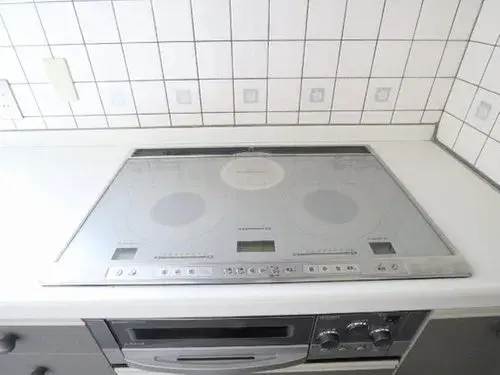 4LDK+S Property Hiroshima City Hiroshima Prefecture (18)