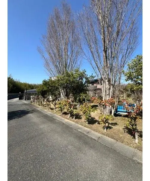 5LDK+S Property Higashihiroshima City Hiroshima Prefecture (15)