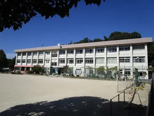 Slide 17
